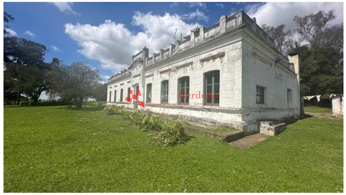 Campo Ref.1908 - VENTA - Campo 1228 hectareas - Treinta y Tres