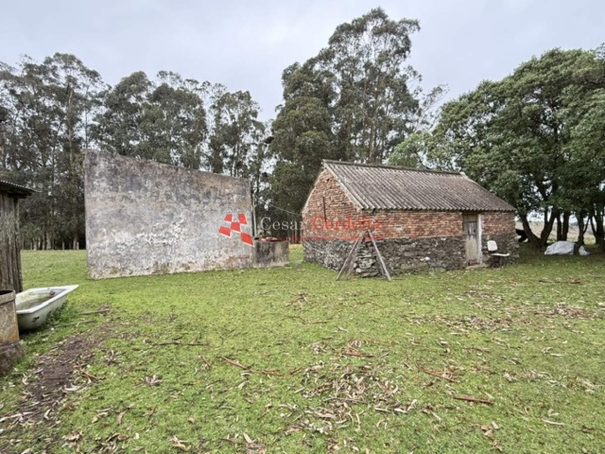 Campo Ref.1964 - VENTA - Campito 59 hectáreas - Castillos, Rocha