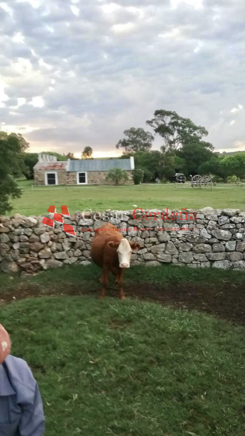 Campo Ref.1595 - VENTA - Campo 57 has muy pintorescas en Maldonado