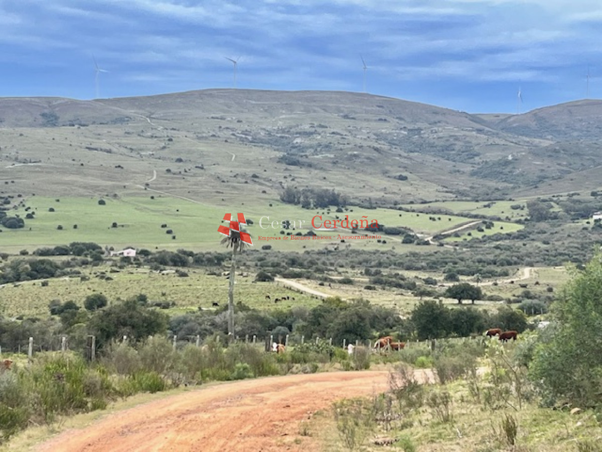 Campo Ref.1900 - VENTA - Campito de 86 hectáreas en las Sierras