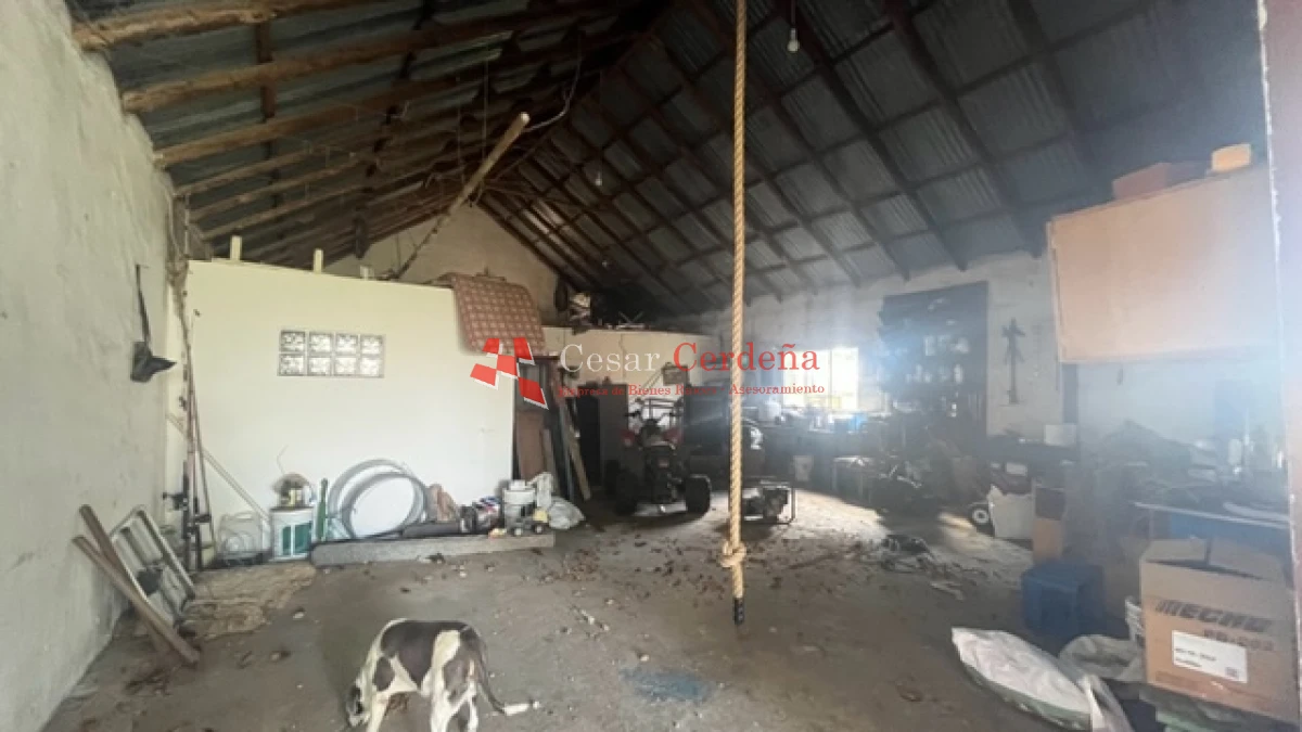 Campo Ref.1780 - VENTA - Campo de 83 hectáreas en Maldonado