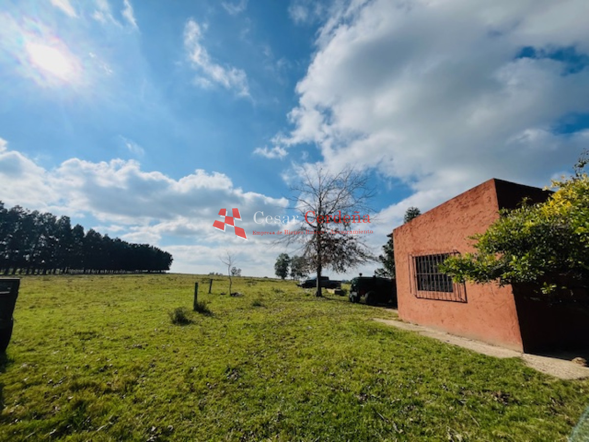 Campo Ref.1937 - VENTA - Campo de 83 hectáreas en Maldonado