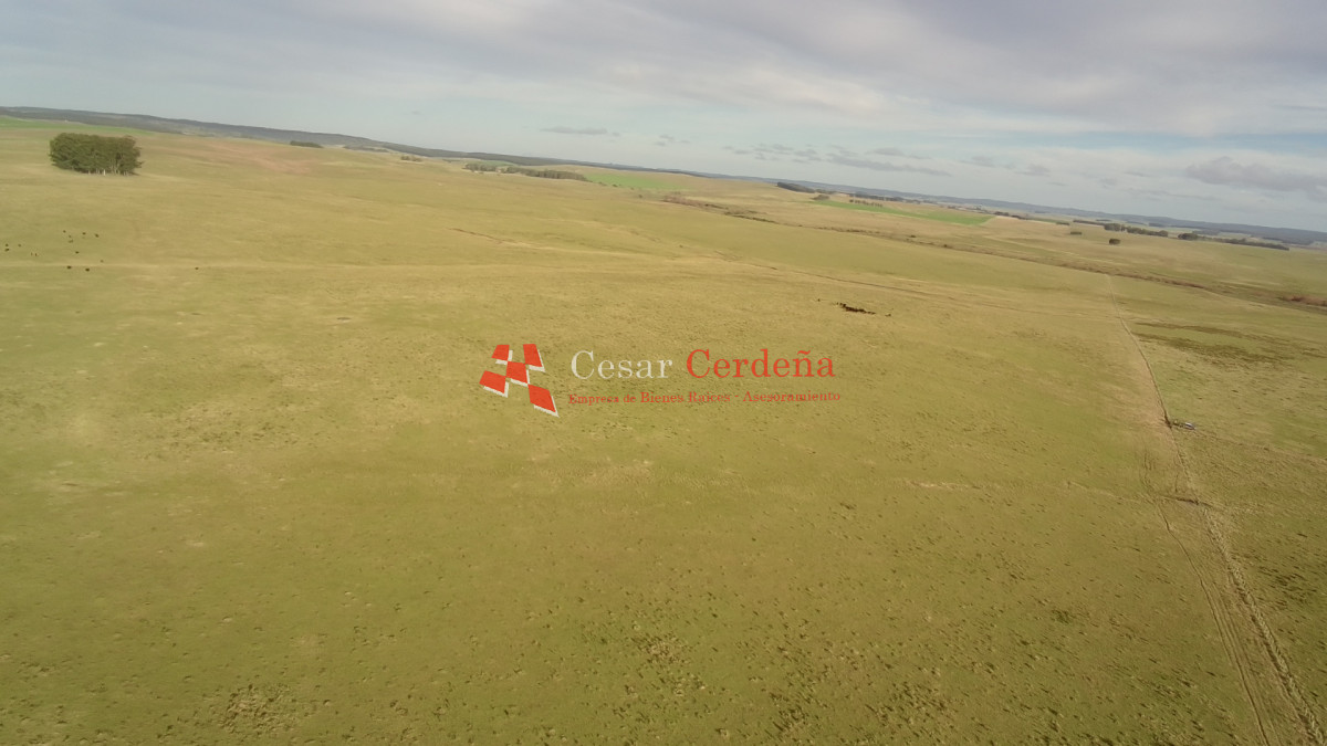 Campo Ref.2007 - VENTA - Campo 655 hectáreas cercano a Velazquez