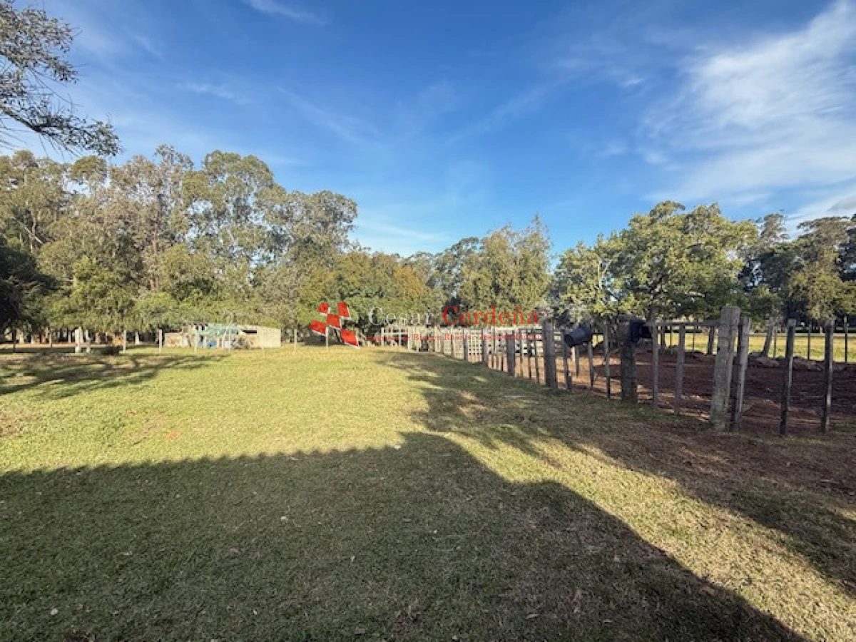 Campo Ref.1998 - VENTA - Campo 358 hectáreas en Garzón, Rocha