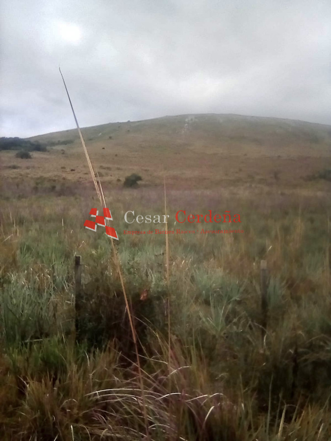 Campo Ref.1721 - VENTA - Campo 78 hectareas en Garzon