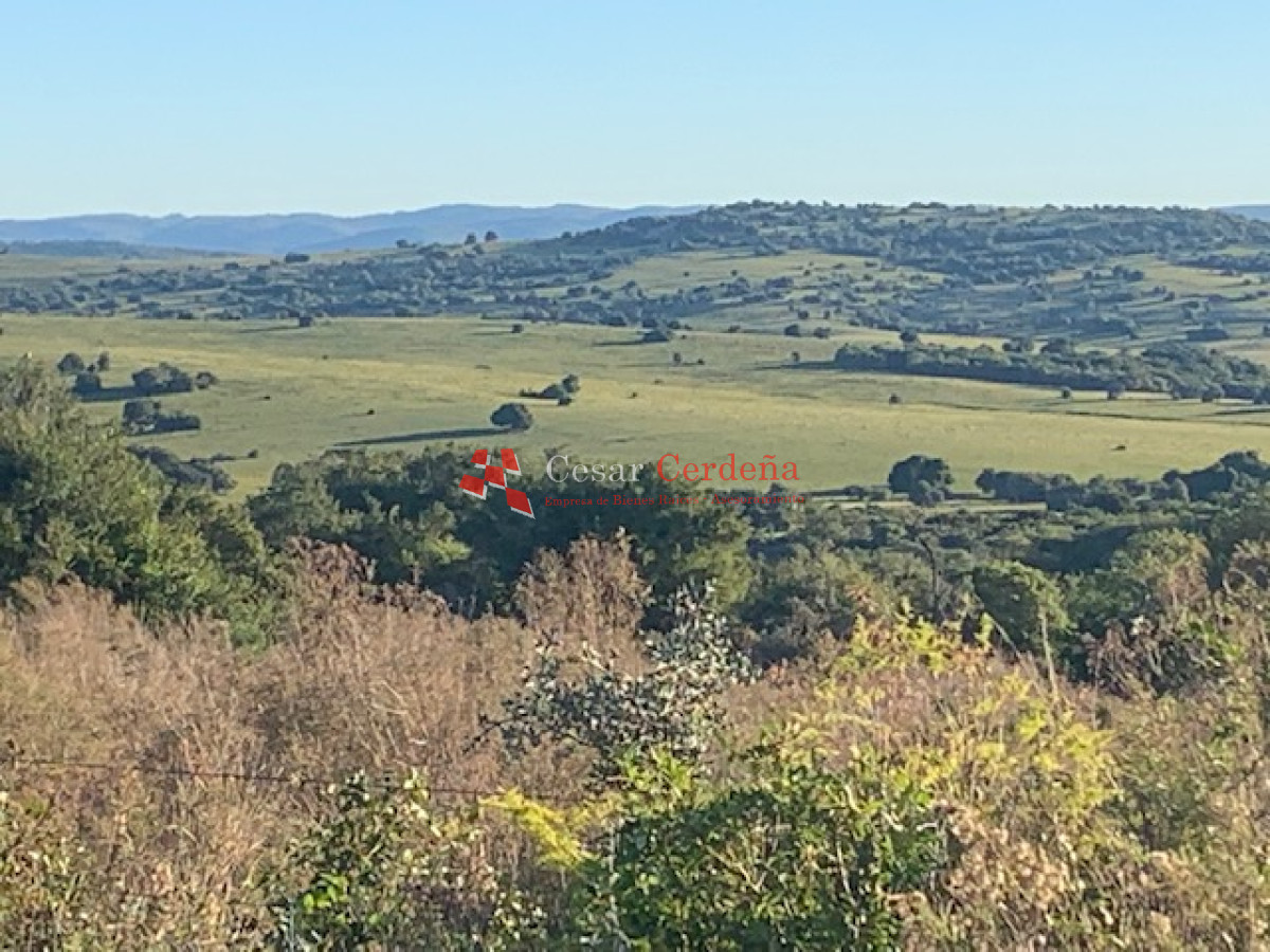 Campo Ref.1938 - VENTA - Campo 1200 hectáreas - Lavalleja