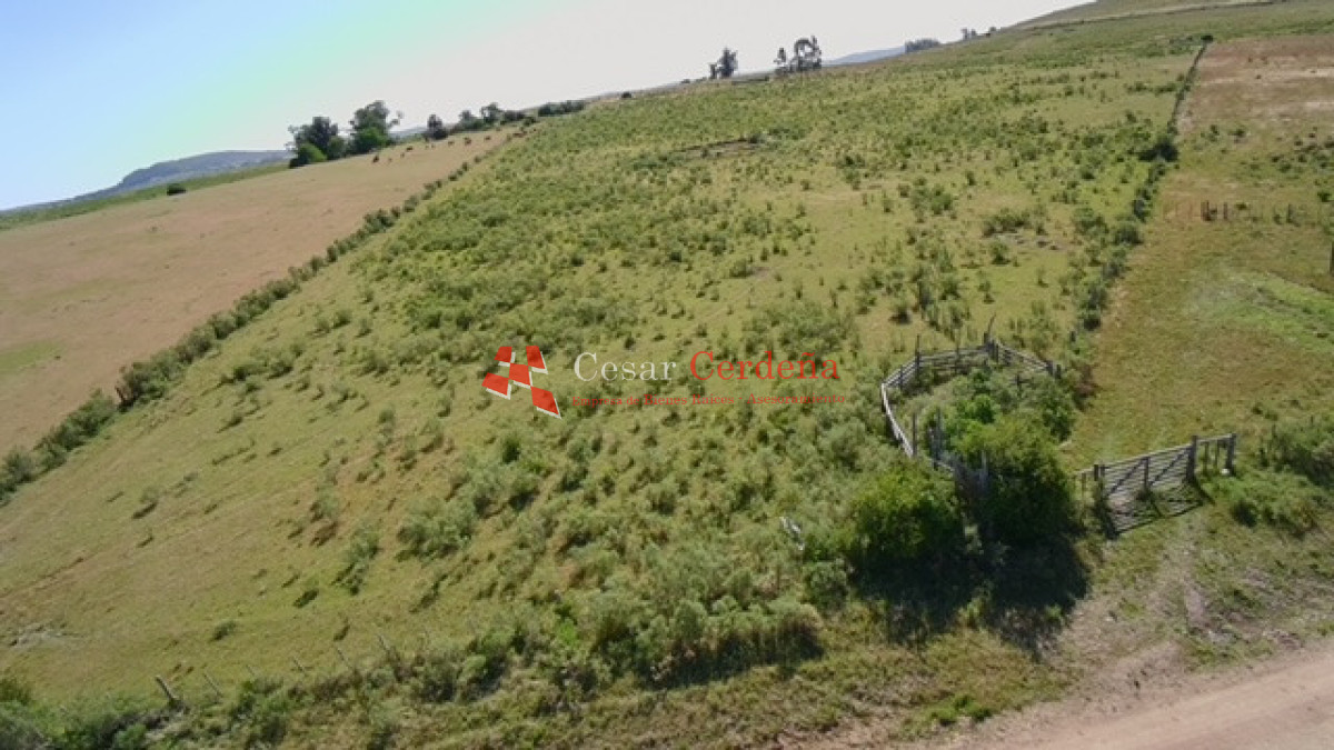 Campo Ref.1958 - VENTA - Campo 82 hectáreas