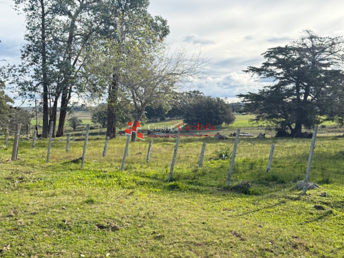 Campo Ref.1998 - VENTA - Campo 358 hectáreas en Garzón, Rocha