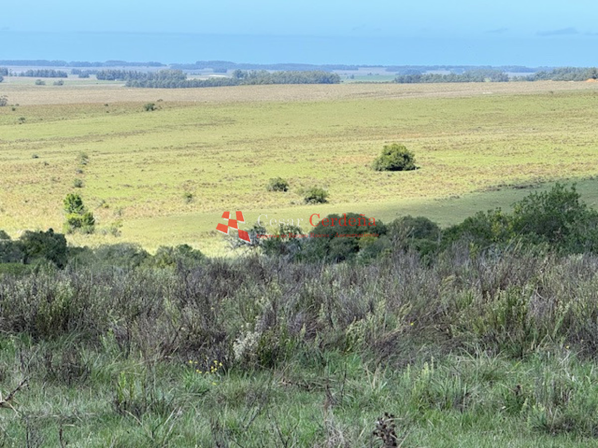 Campo Ref.1947 - VENTA - Campo 316 hectareas en Garzon, Rocha