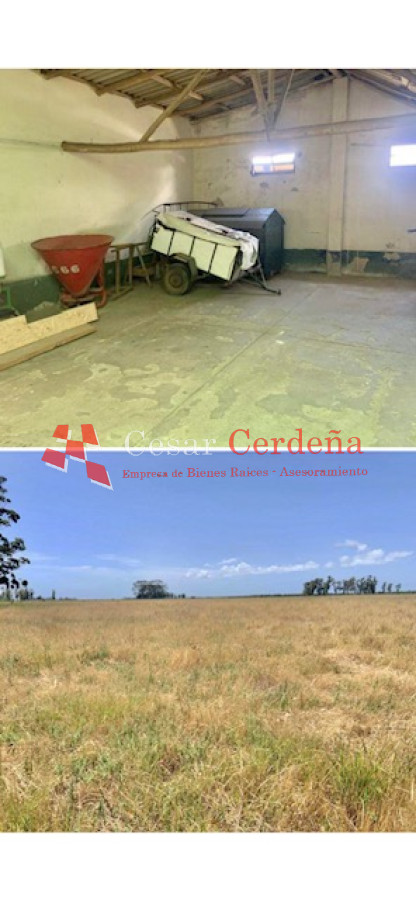 Campo Ref.1850 - VENTA - 735 HECTAREAS ROCHA