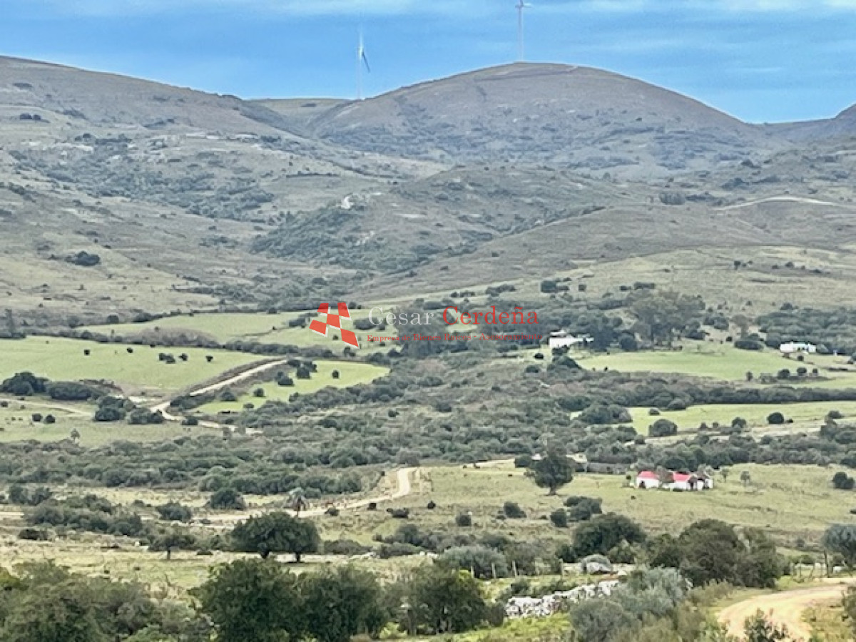 Campo Ref.1900 - VENTA - Campito de 86 hectáreas en las Sierras