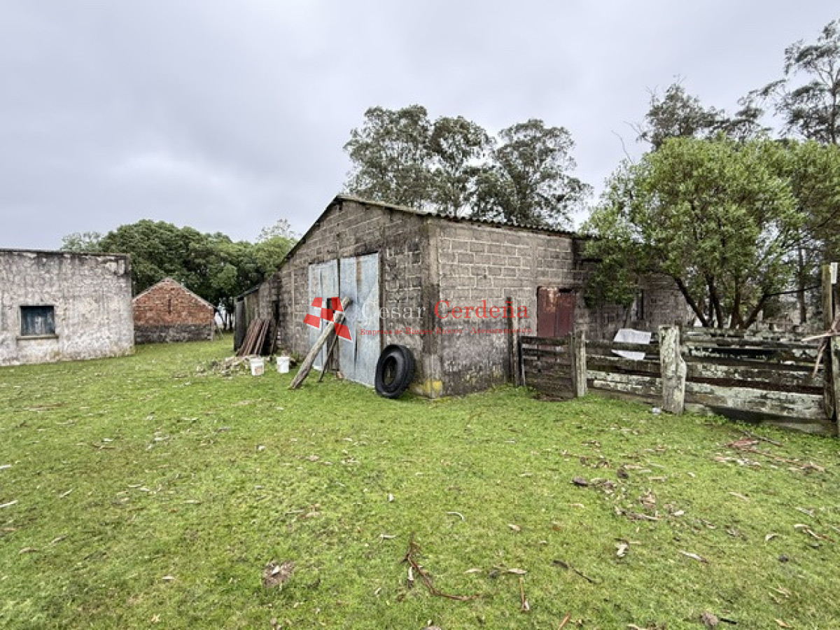 Campo Ref.1964 - VENTA - Campito 59 hectáreas - Castillos, Rocha
