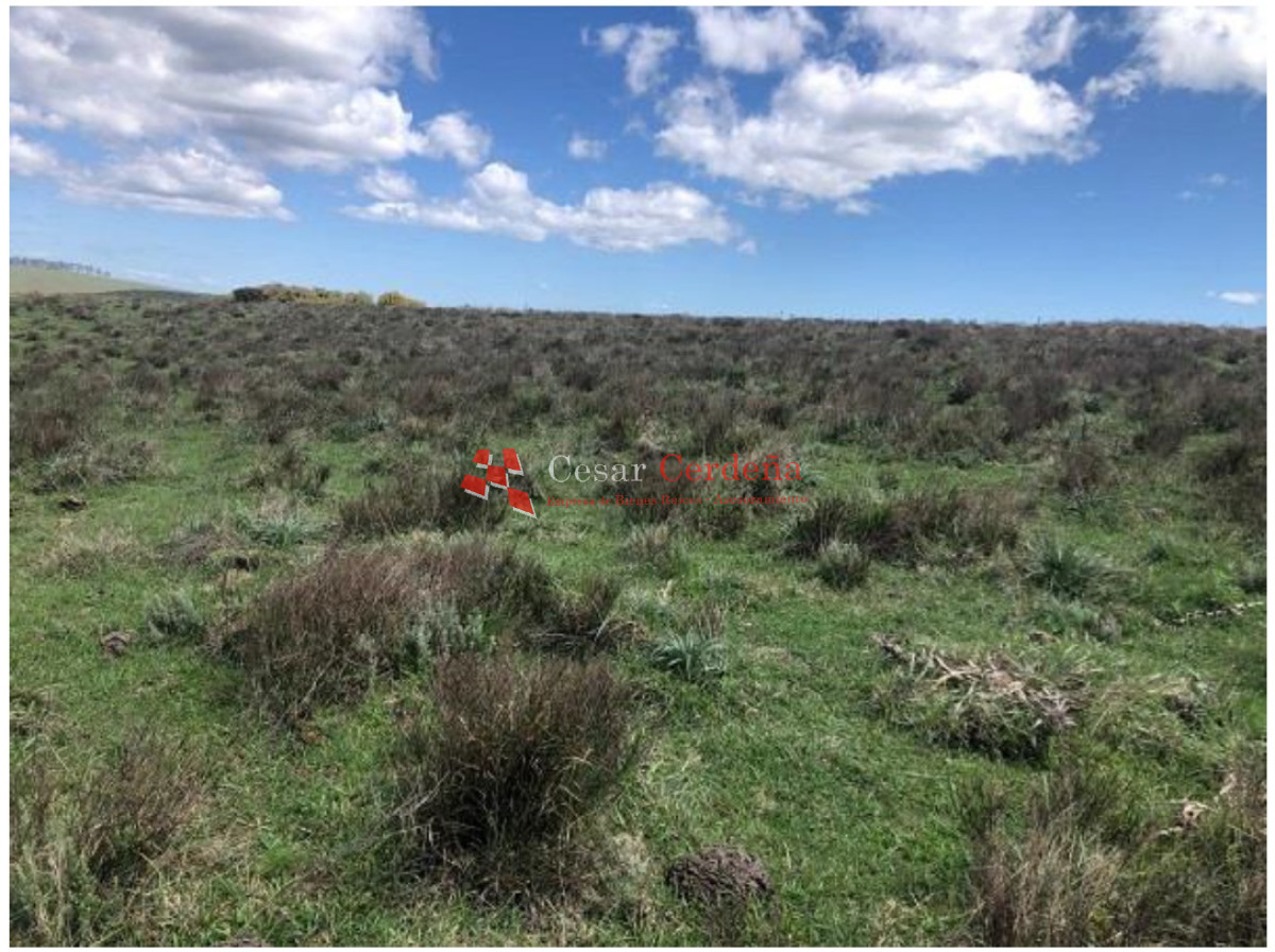 Campo Ref.1908 - VENTA - Campo 1228 hectareas - Treinta y Tres