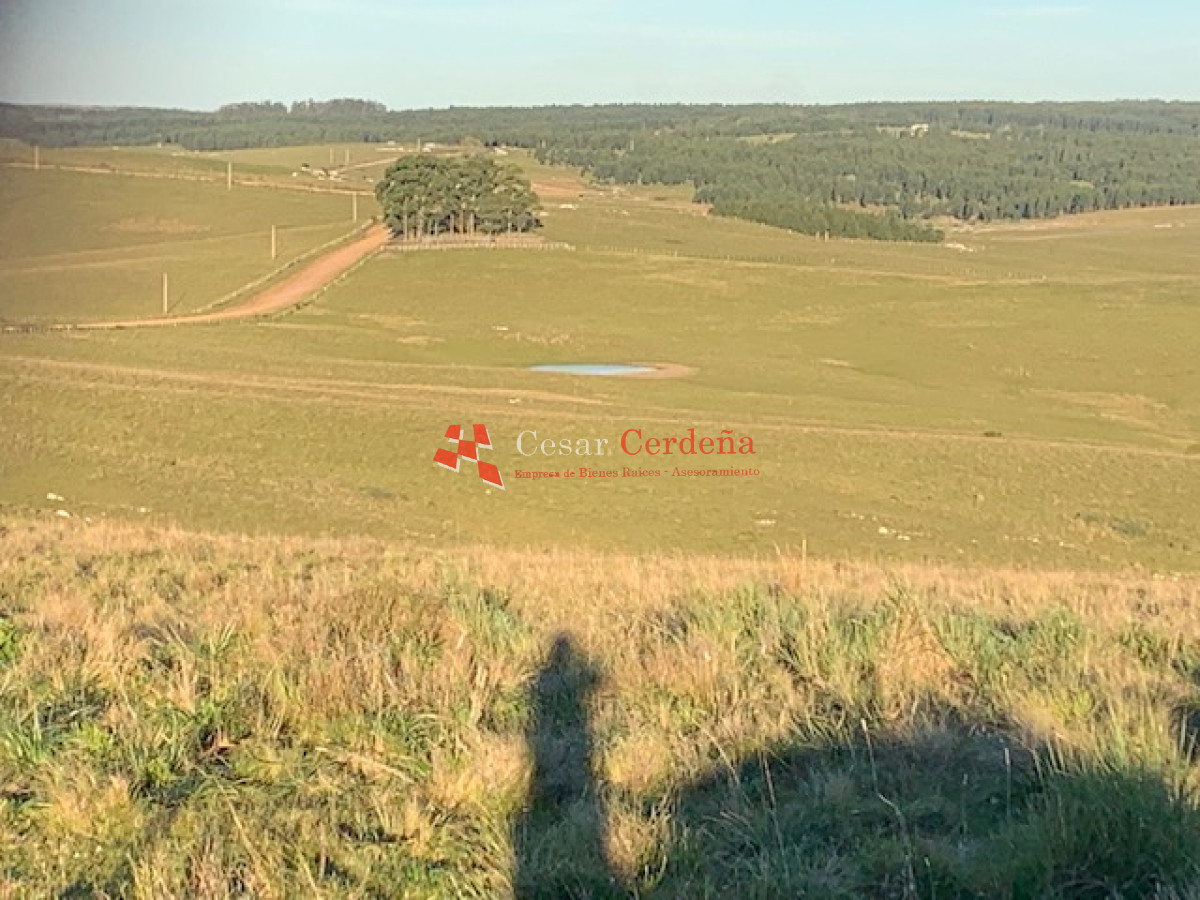 Campo Ref.1938 - VENTA - Campo 1200 hectáreas - Lavalleja