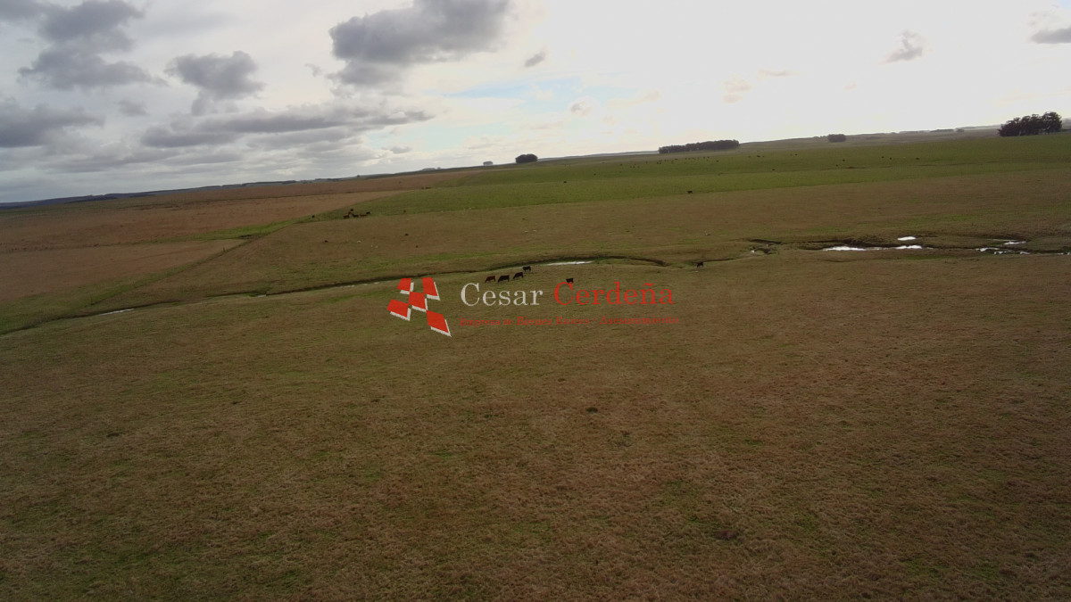 Campo Ref.2007 - VENTA - Campo 655 hectáreas cercano a Velazquez