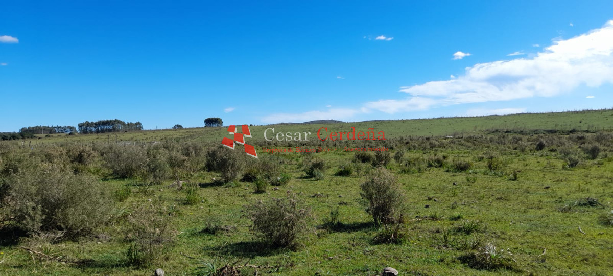 Campo Ref.1937 - VENTA - Campo de 83 hectáreas en Maldonado