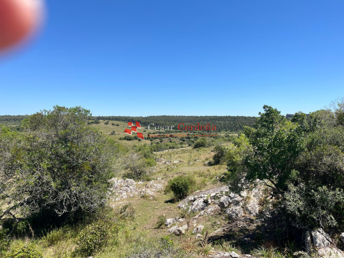 Campo Ref.1970 - VENTA - Campo 49 hectareas Pan de Azucar