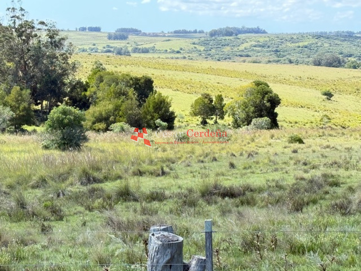 Campo Ref.1947 - VENTA - Campo 316 hectareas en Garzon, Rocha