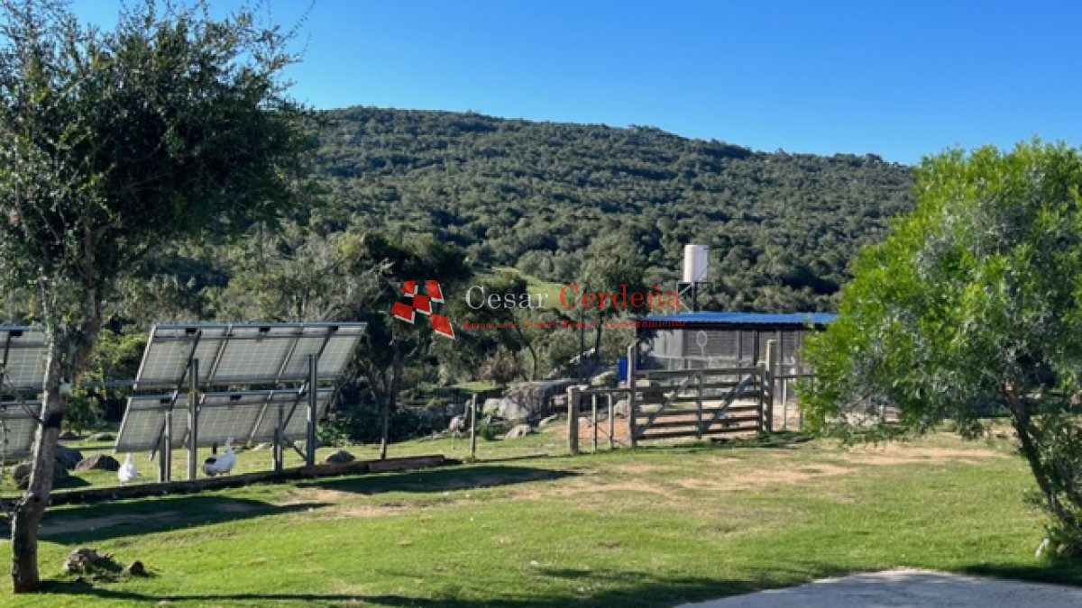 Campo Ref.1886 - VENTA - Campo de 238 hectáreas en zona del Cerro Catedral