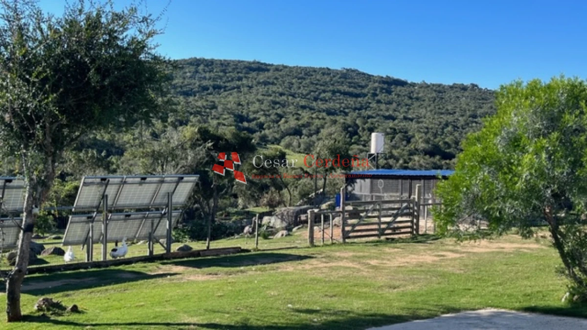Campo Ref.1886 - VENTA - Campo de 238 hectáreas ganaderas en zona del Cerro Catedral