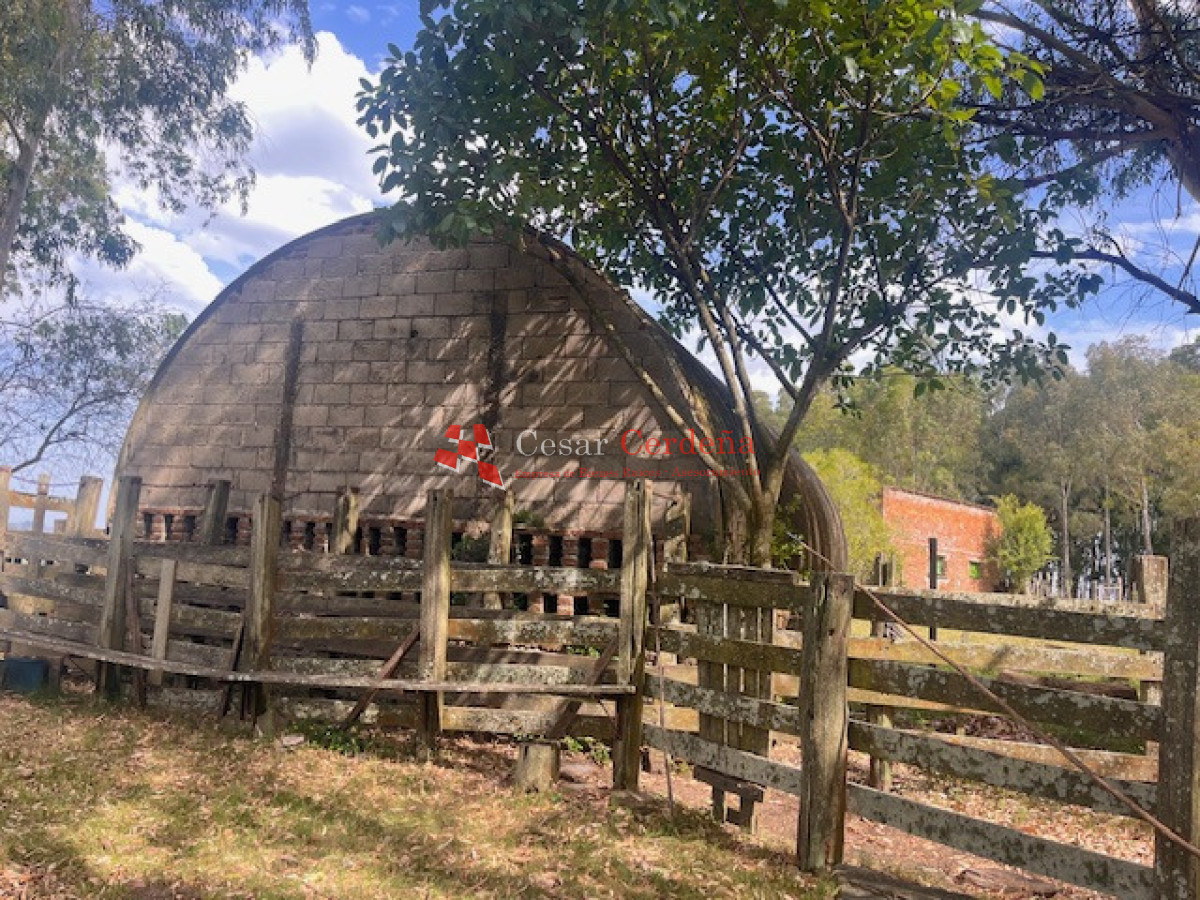 Campo Ref.1952 - VENTA - Campo 138 hectareas en Castillos Rocha