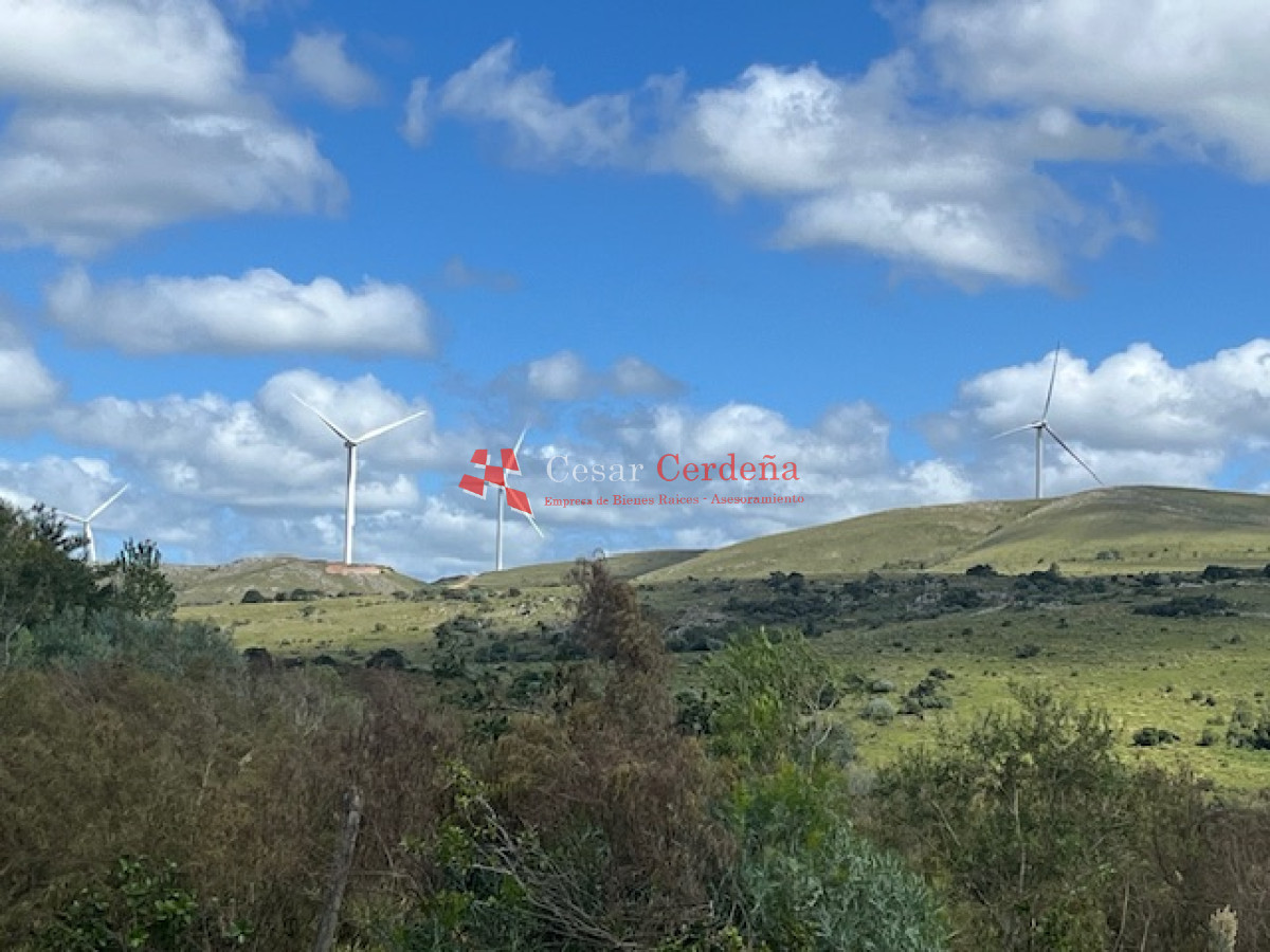 Campo Ref.1900 - VENTA - Campito de 86 hectáreas en las Sierras