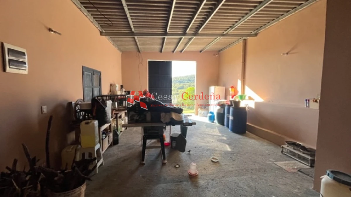Campo Ref.1886 - VENTA - Campo de 238 hectáreas ganaderas en zona del Cerro Catedral