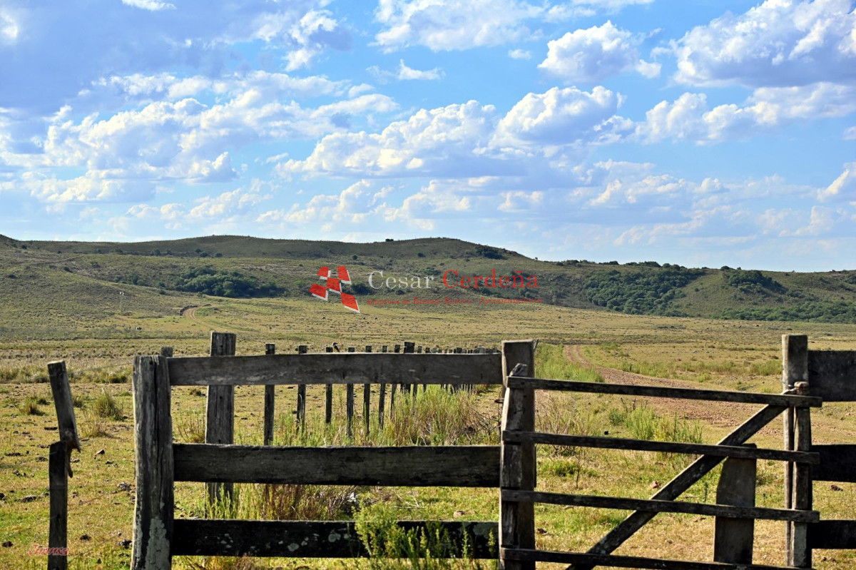 Campo Ref.1910 - VENTA - Campo 3384 hectáreas - Tacuarembo