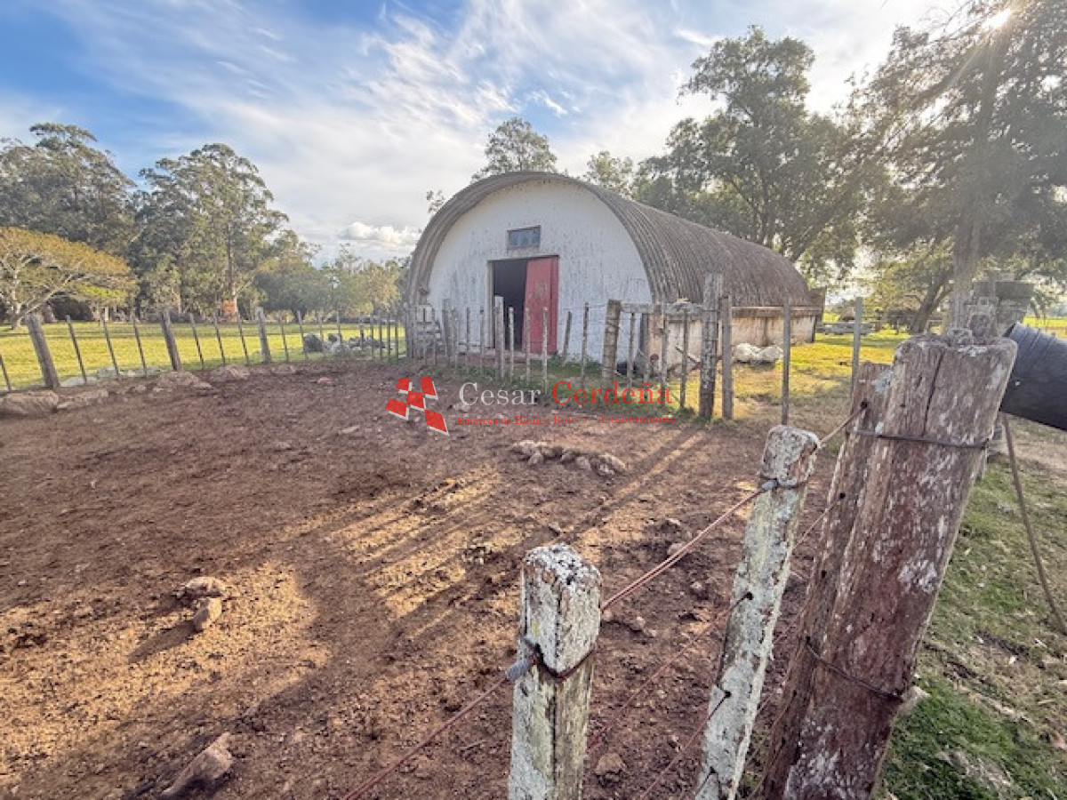 Campo Ref.1998 - VENTA - Campo 358 hectáreas en Garzón, Rocha