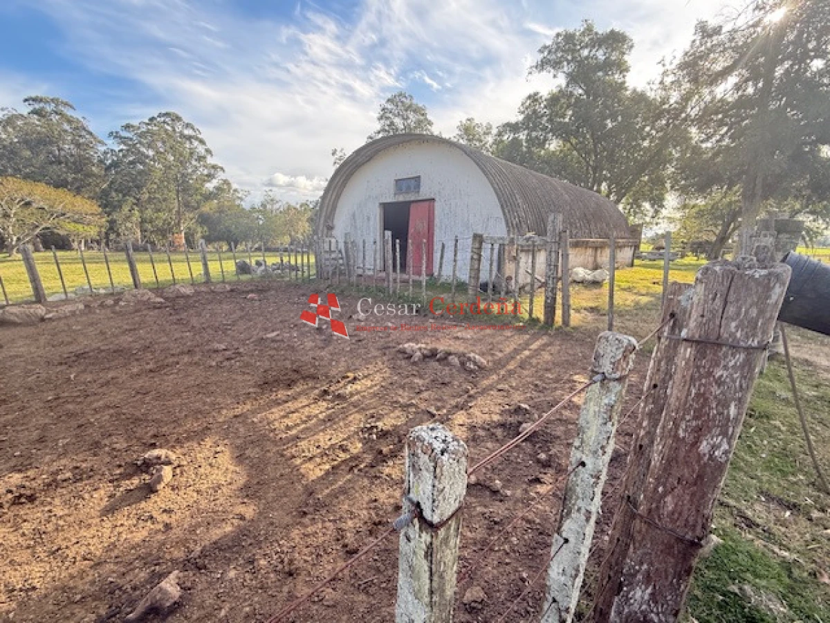 Campo Ref.1998 - VENTA - Campo 358 hectáreas en Garzón, Rocha