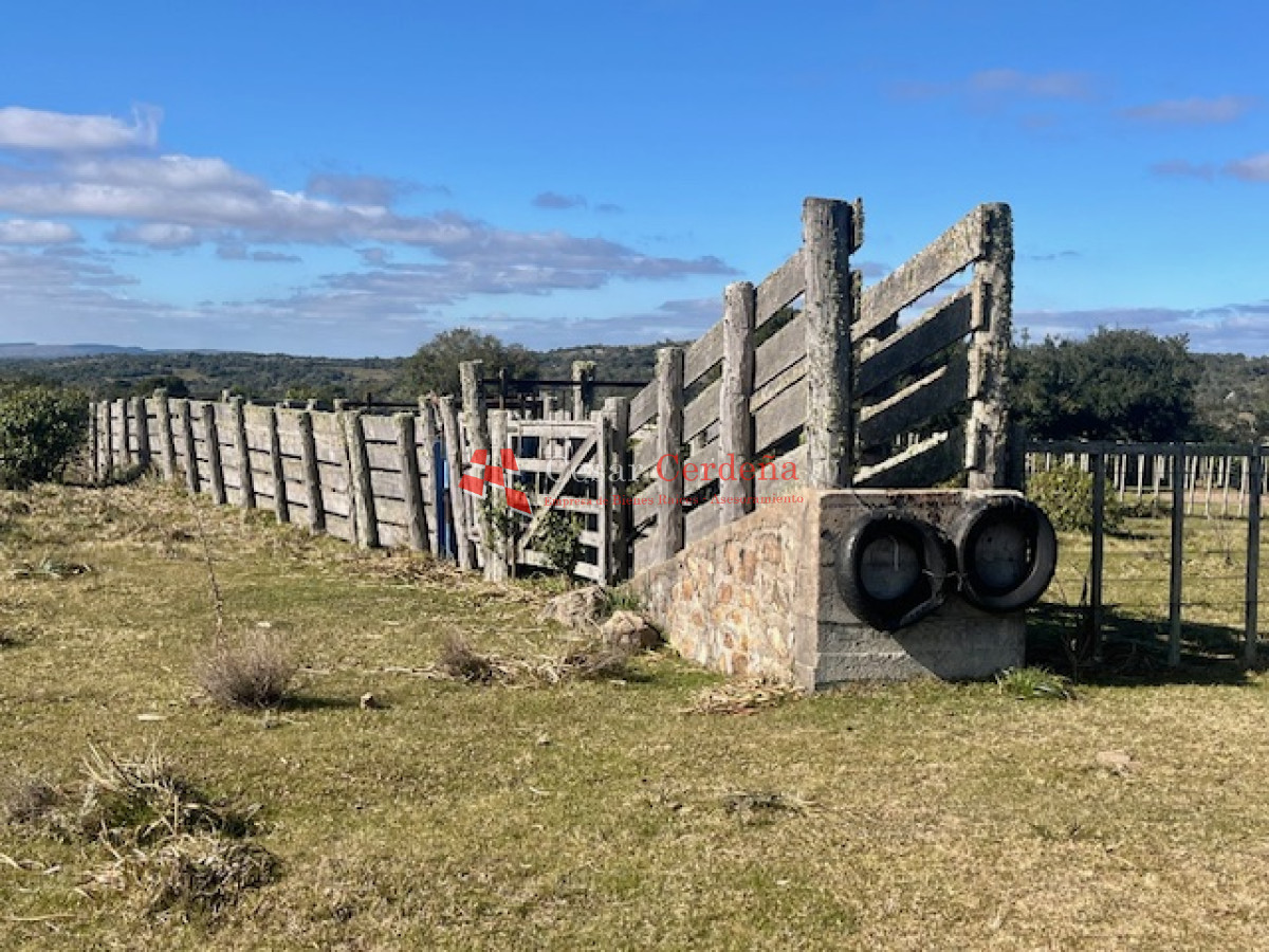 Campo Ref.1887 - VENTA - Campo 79 hectareas ruta 109