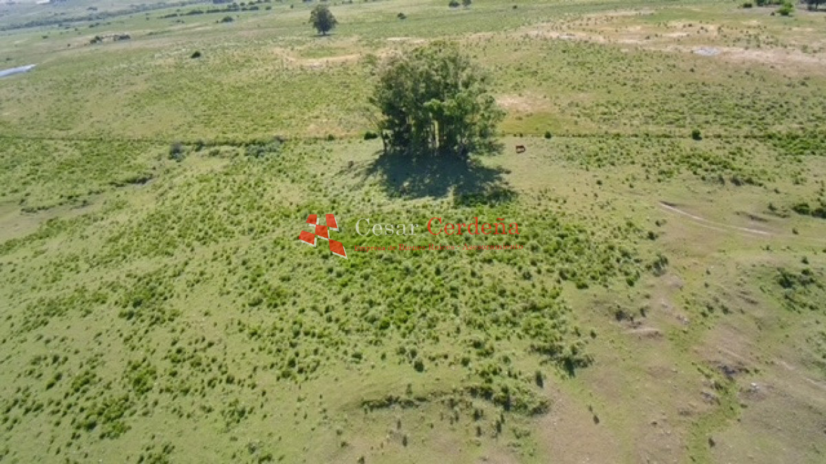 Campo Ref.1958 - VENTA - Campo 82 hectáreas