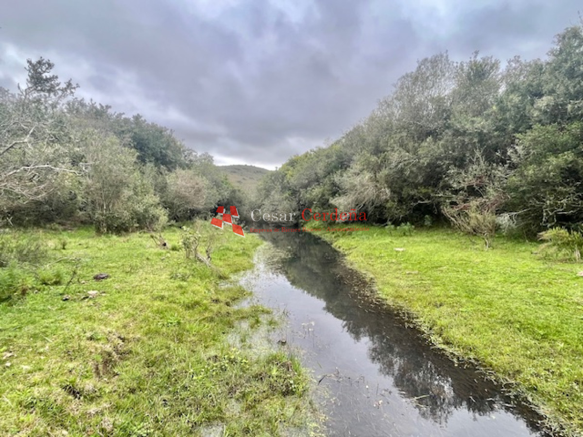 Campo Ref.1900 - VENTA - Campito de 86 hectáreas en las Sierras
