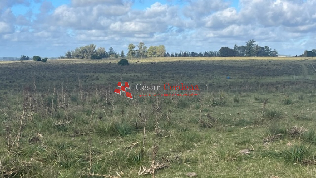 Campo Ref.1937 - VENTA - Campo de 83 hectáreas en Maldonado