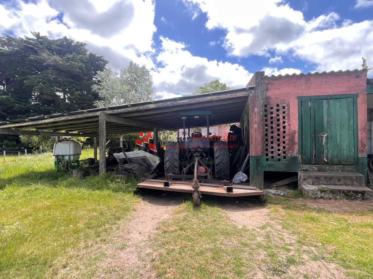 Campo Ref.1850 - VENTA - 745 HECTAREAS ROCHA