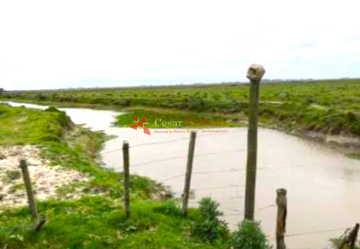 Campo Ref.1909 - VENTA -Campo en Rocha 690 hectáreas 