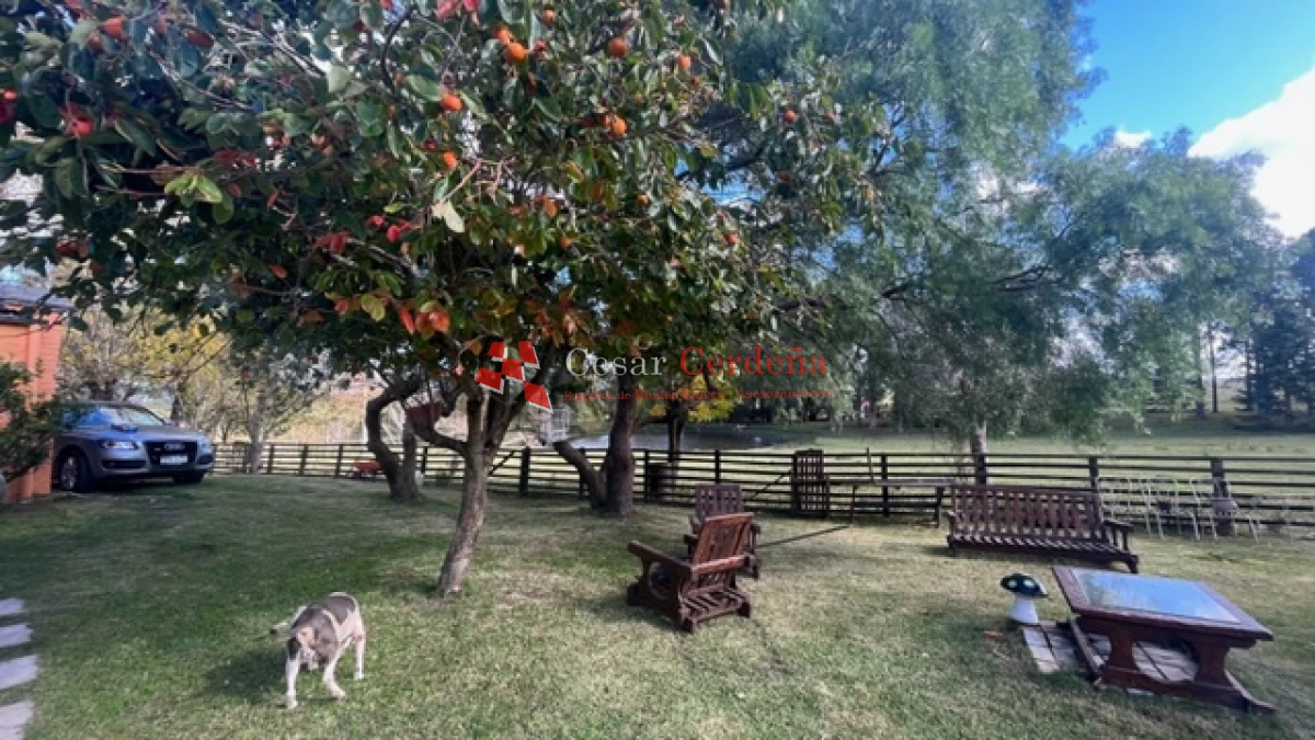 Campo Ref.1780 - VENTA - Campo de 83 hectáreas en Maldonado