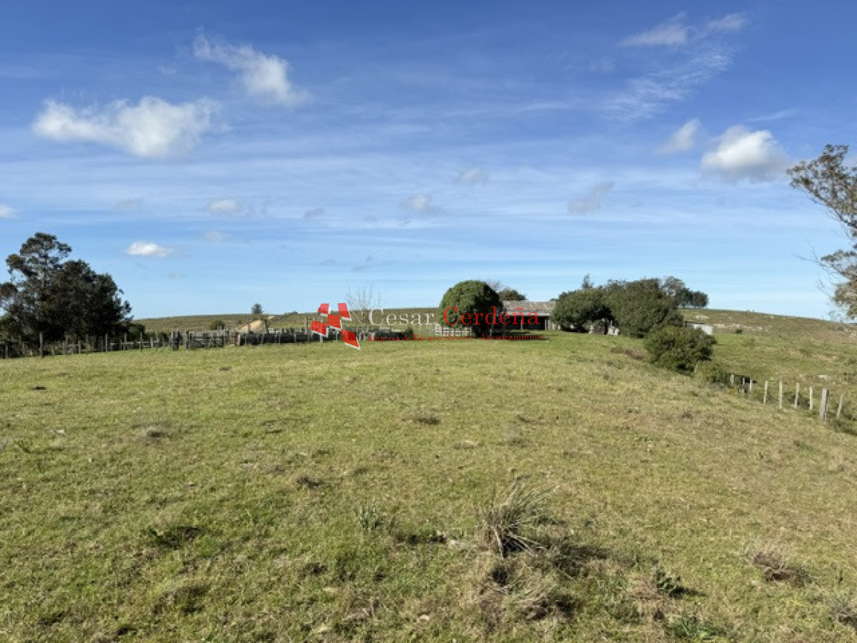 Campo Ref.1936 - VENTA - Campo 240 hectáreas en 19 de Abril - Rocha