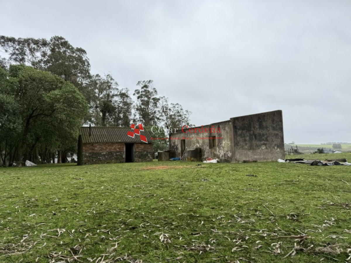 Campo Ref.1964 - VENTA - Campito 59 hectáreas - Castillos, Rocha