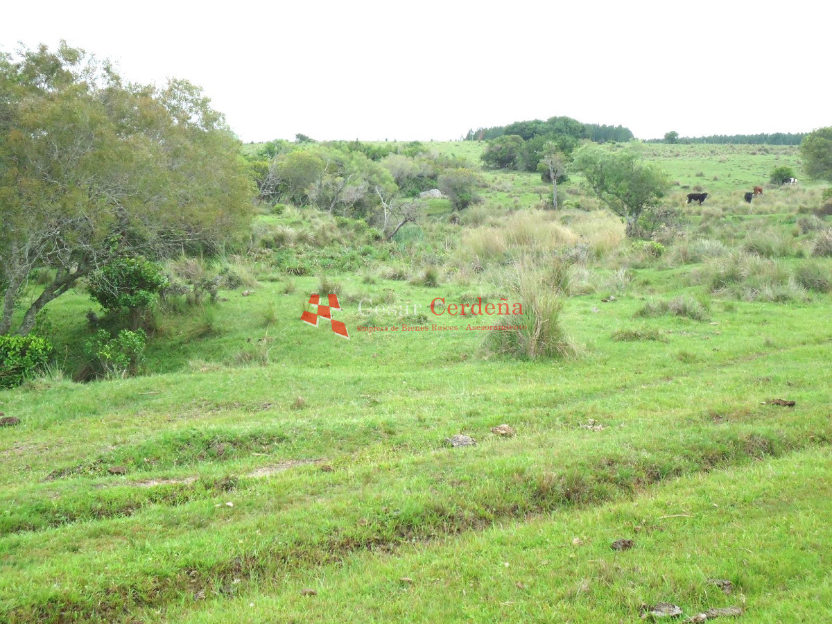 Campo Ref.1947 - VENTA - Campo 316 hectareas en Garzon, Rocha