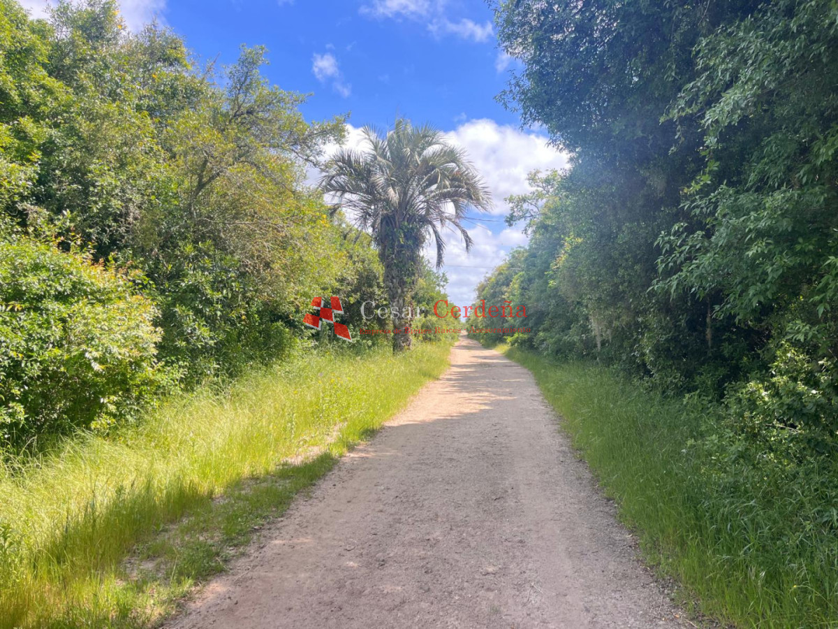 Campo Ref.1850 - VENTA - 745 HECTAREAS ROCHA