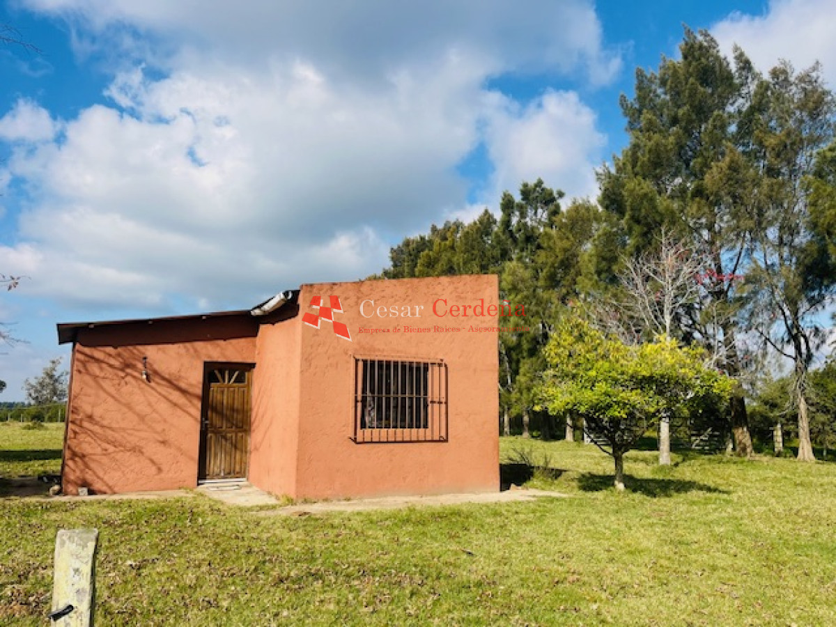Campo Ref.1937 - VENTA - Campo de 83 hectáreas en Maldonado