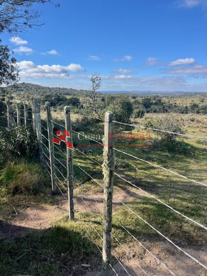 Campo Ref.1887 - VENTA - Campo 79 hectareas ruta 109