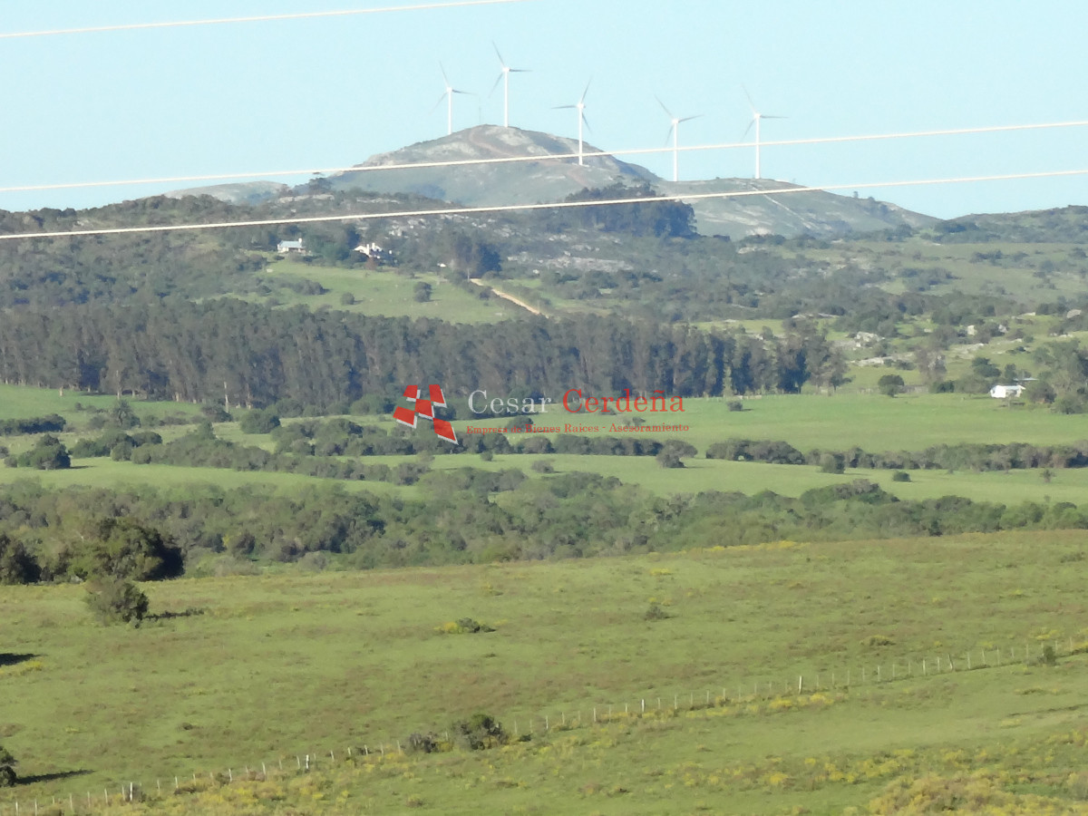 Campo Ref.1938 - VENTA - Campo 1200 hectáreas - Lavalleja
