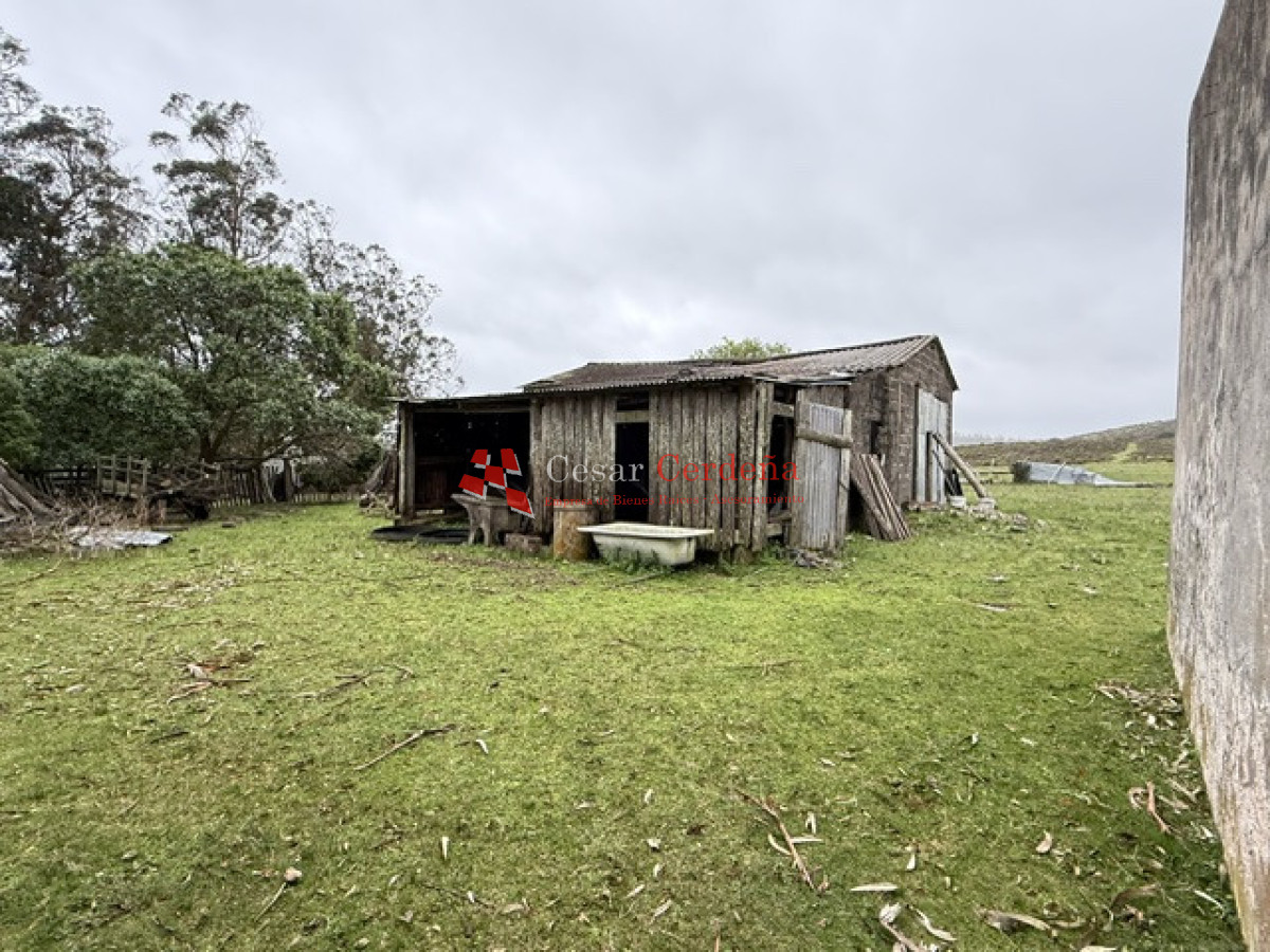 Campo Ref.1964 - VENTA - Campito 59 hectáreas - Castillos, Rocha