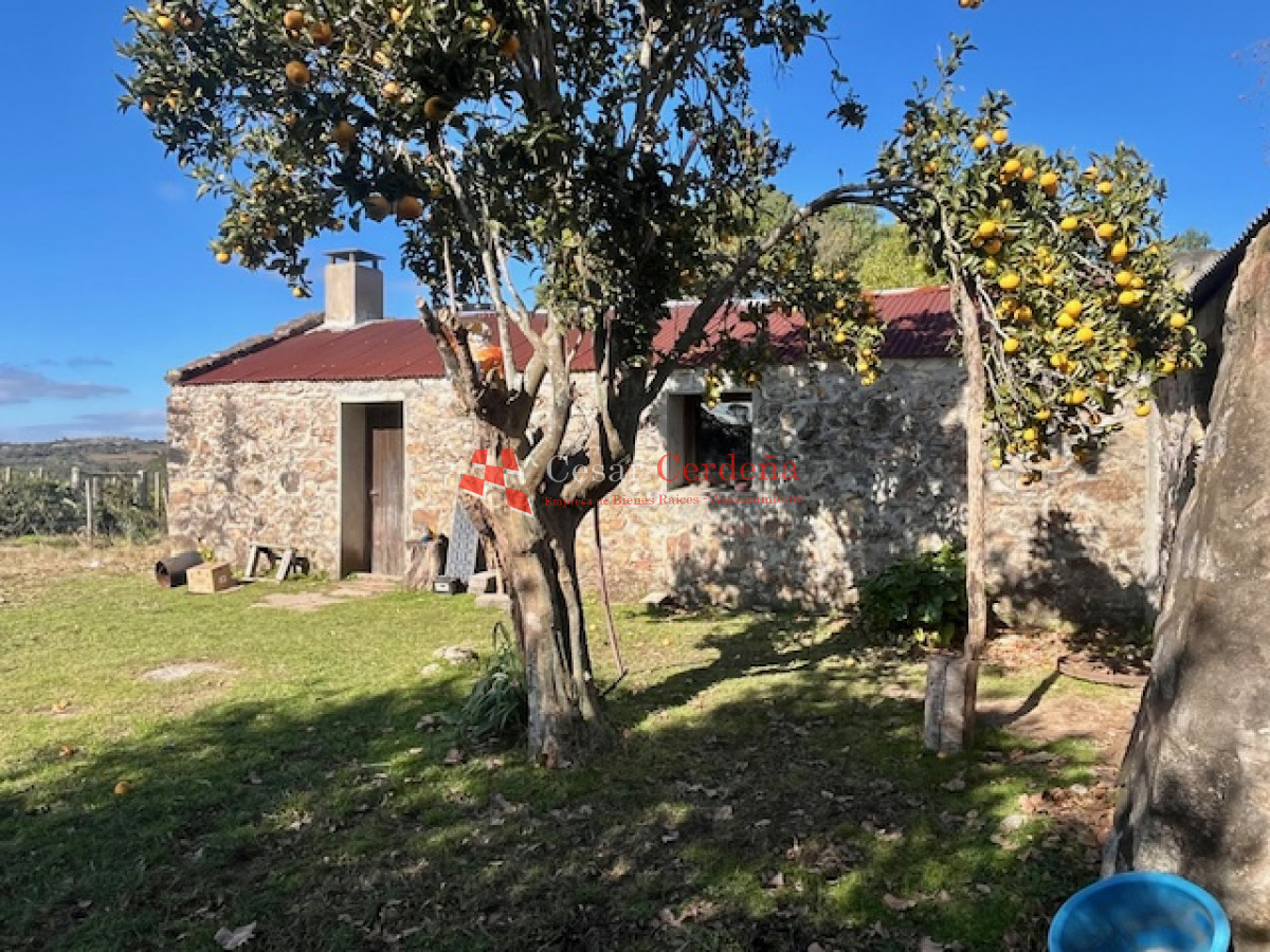 Campo Ref.1887 - VENTA - Campo 79 hectareas ruta 109