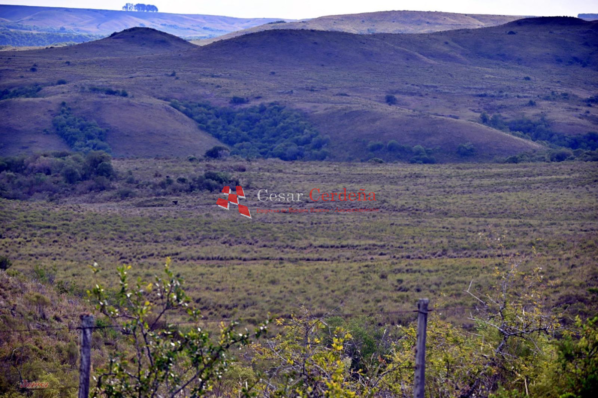 Campo Ref.1910 - VENTA - Campo 3384 hectáreas - Tacuarembo