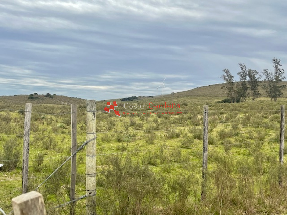 Campo Ref.1900 - VENTA - Campito de 86 hectáreas en las Sierras