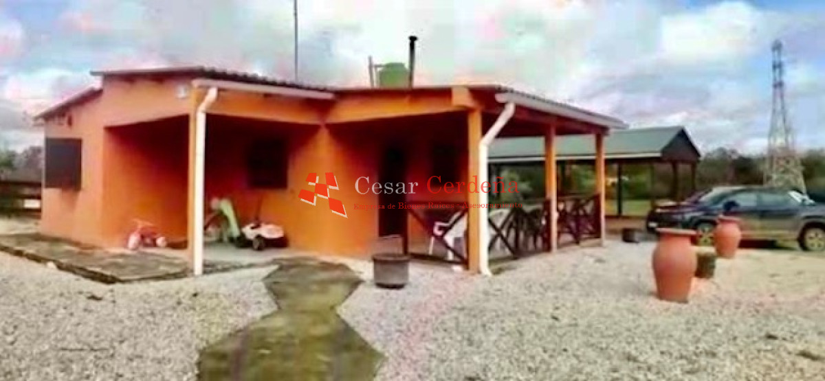 Campo Ref.1895 - VENTA - 73 has en Rocha
