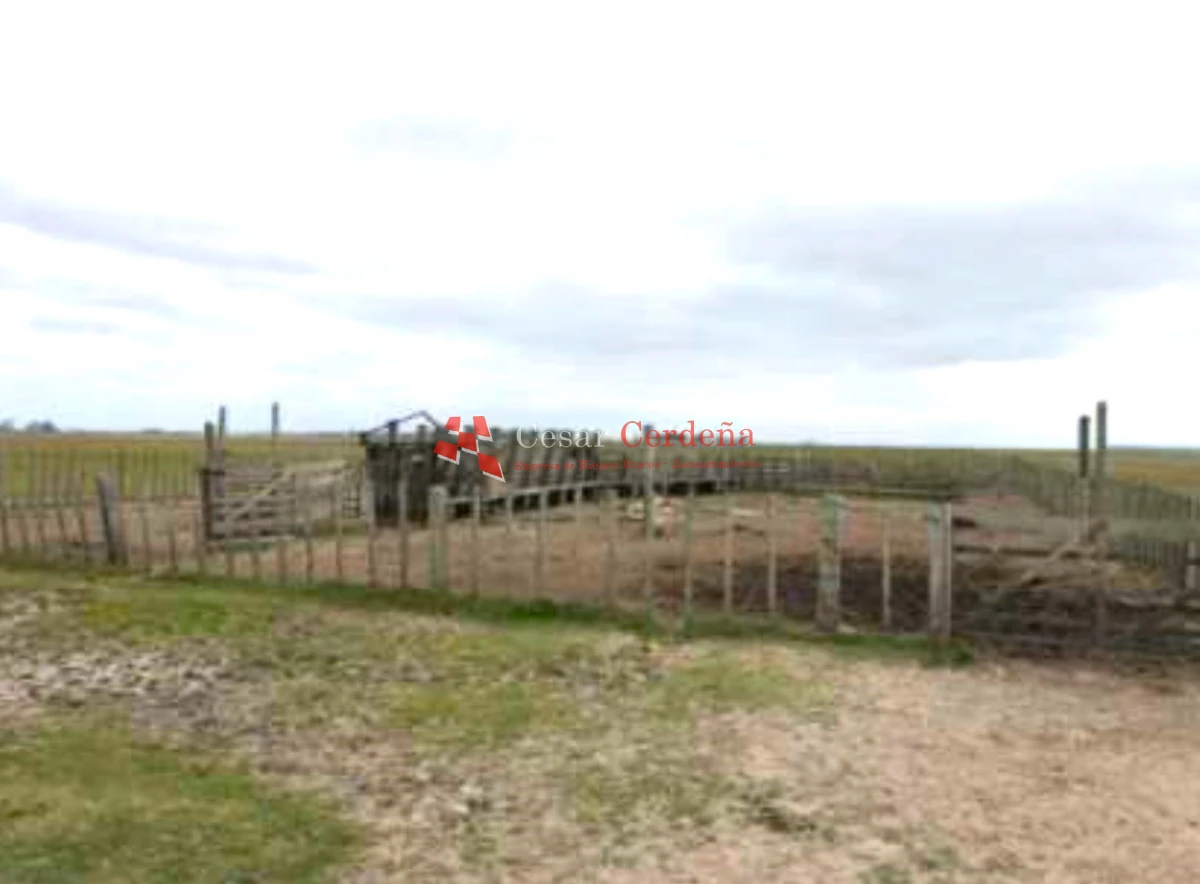 Campo Ref.1909 - VENTA -Campo en Rocha 690 hectáreas 